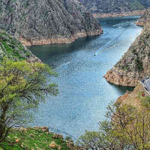 رضا کریمی زندانی